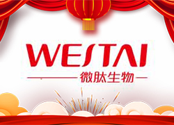 金龍送福，開門大吉！廣州微肽給您拜年了！