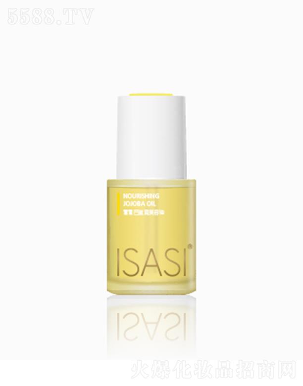 ISASI̝